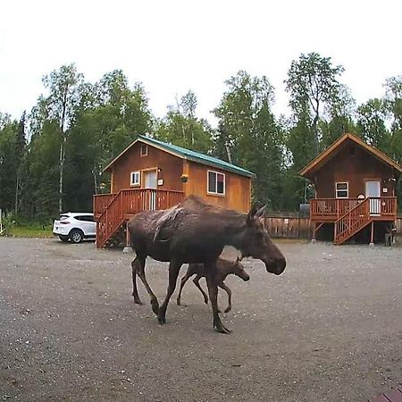 Talkeetna Love-Lee Cabins Otel Dış mekan fotoğraf