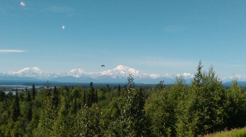Talkeetna Love-Lee Cabins Otel Dış mekan fotoğraf