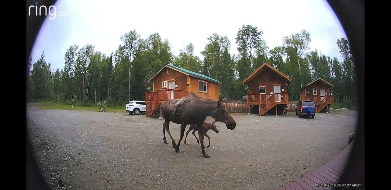 Talkeetna Love-Lee Cabins Otel Dış mekan fotoğraf